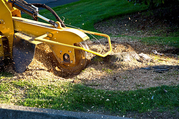 Lawn Irrigation Installation and Maintenance in Federal Way, WA